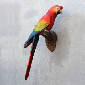 Doe een poging Computerspelletjes spelen Allergisch Bird on three/papegaai - Van Hout Decoratiefiguren